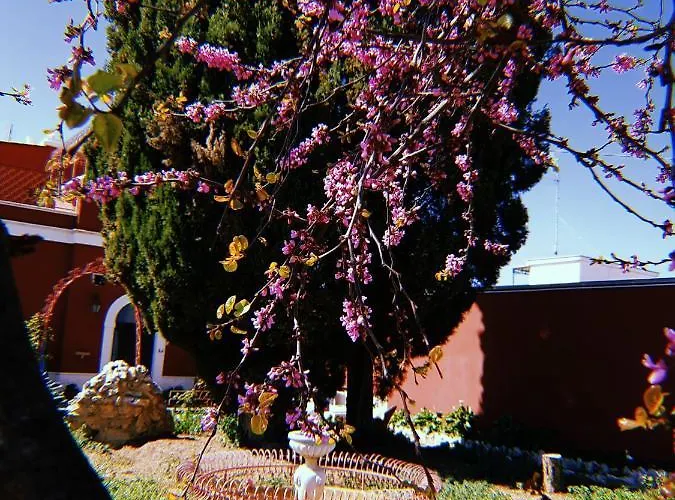 Airport - منزل للإقامة