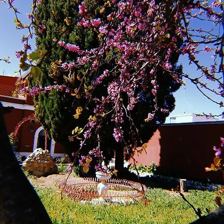 Airport - Quarto em Acomodações Particulares